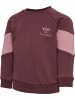 Hummel Hummel Sweatshirt Hmlkris Kinder in CATAWBA GRAPE