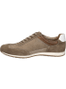 Josef Seibel Halbschuh Colby 03 in taupe-multi