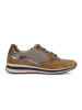 Gabor Sneaker low in multicolour
