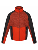 Regatta Fleecejacke Coladane V in Orange