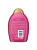 OGX Shampoo "Keratin Oil" 6er-Pack (6x 385 ml)