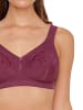 SUSA Entlastungs BH Topsy Plus in aubergine