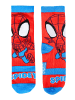 Cerda 4er - Pack Kindersocken Spidey Geschenkset in Spardose  in Bunt