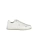 U.S. Polo Weiß Polyurethan Herren Sneaker