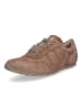 Paul Green Sneaker in Braun