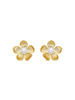 Luxenter Ohrringe Miclaw mit 18 Karat Gelbgold-Finish – MICLAW