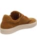 Franz Gustav Sneaker in braun