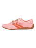 Steve Madden Sneaker in Coral
