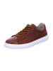Pius Gabor Sneaker Low in Braun