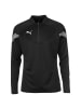 Puma Trainingspullover TeamFinal Training 1/4 Zip Top in schwarz / silber