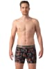 Muchachomalo 2er-Set: Boxershorts in Multicolor/Green