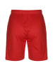 Puma Trainingsshorts TeamGoal 23 Knit in rot