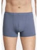Seidensticker Retro Short / Pant Pur in Mehrfarbig