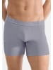 Sloggi Long Short / Pant SLG Base Soft in Morandi grey