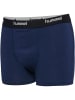 Hummel Boxer Hmljr Nalle Kinder in GREY MELANGE/DRESS BLUES/BLACK