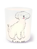 Mr. & Mrs. Panda Kerzenhalter Bichon Frisé Moment ohne Spruch in Transparent