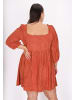 Usha Women Plus Size Dress in Chestnut