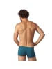 EIN SCHÖNER FLECK ERDE Boxershort 1er Pack in Wilder Kaiser (Türkis)