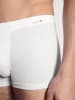 Calida New Boxer in weiss