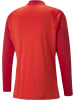 Puma T-Shirt "TeamCUP Training 1/4 Zip Top" in Rot