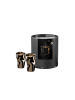 Eisch 2er Set Espressogläser Unik 100 ml in platin