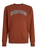 JACK & JONES Junior Sweatshirt JJECALEB VARSITY SWEAT CREW NECK JNR in burnt henna