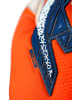 Reusch Torwarthandschuhe Attrakt Freegel Gold NC in 2500 shock orng/energ blue