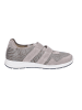 Florett Klettschuhe in tan-silber