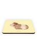 Mr. & Mrs. Panda Magnet Meerschweinchen Weisheit ohne Spruch in Gelb Pastell
