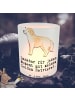 Mr. & Mrs. Panda Glas Windlicht Golden Retriever Moment mit Spruch in Transparent
