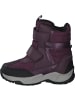 Geox Stiefeletten in Purple