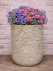 AltoBelli Blumentopf FIORENZA Antik Grau Patina Zement 21x17 cm