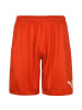 Puma Shorts Liga in rot / weiß