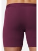 Bruno Banani Long Short / Pant Long Life 2.0 in Bordeaux