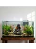 relaxdays Aquarium Deko "Korallenriff" in Bunt - (B)12 x (H)15 x (T)12 cm