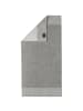 Cawö Handtuch 1er Pack, 10er Pack in Platin