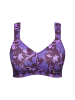 Ulla Popken BH in aubergine
