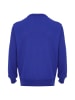 ALEKO Herren Pullover in Blau