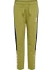 Hummel Hummel Hose Hmlrush Jungen in GREEN OLIVE