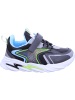 D.T. NEW YORK Sneaker in schwarz