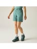 Regatta Mountain Shorts II Wanderhose in Ivy Moss