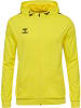 Hummel Hummel Hoodie Hmlauthentic Multisport Herren Atmungsaktiv in BLAZING YELLOW