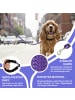 Reichstadt RS Pets Hundeleine Nylon in Purple