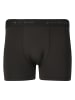 Virtus Boxershorts Ontel V2 in 1001 Black