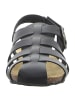 Plakton Riemchensandalette in schwarz