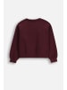 Coccodrillo Sweatshirt in braun