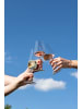 Schott Zwiesel 4er Set Weißweingläser MioVino 380 ml transparent in transparent