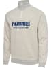 Hummel Hummel Reißverschluss Sweatshirt Raglanärmel Hmllgc Ron Herren in TOFU MELANGE