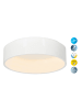 näve LED Deckenleuchte "CARLA" in weiß - (L)60 cm x (B)60 cm x (H)13 cm - EEK G