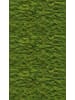 A.S. Création Tapete The Wall 3 Green Wall Grün